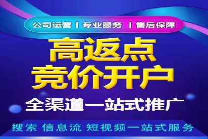 某电商平台的SEM推广实战经验
